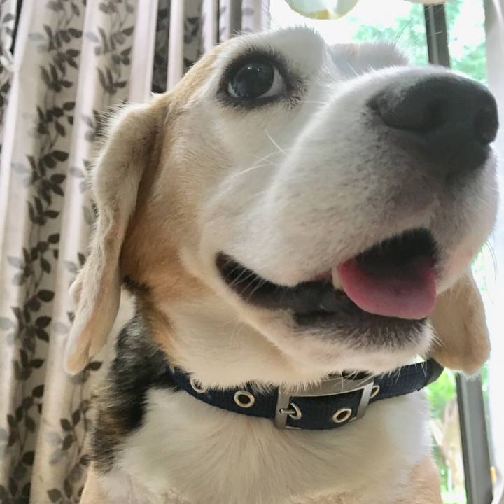 8c169f74 8178 4cdb 902a 60a1e1c6f384 1561187574082