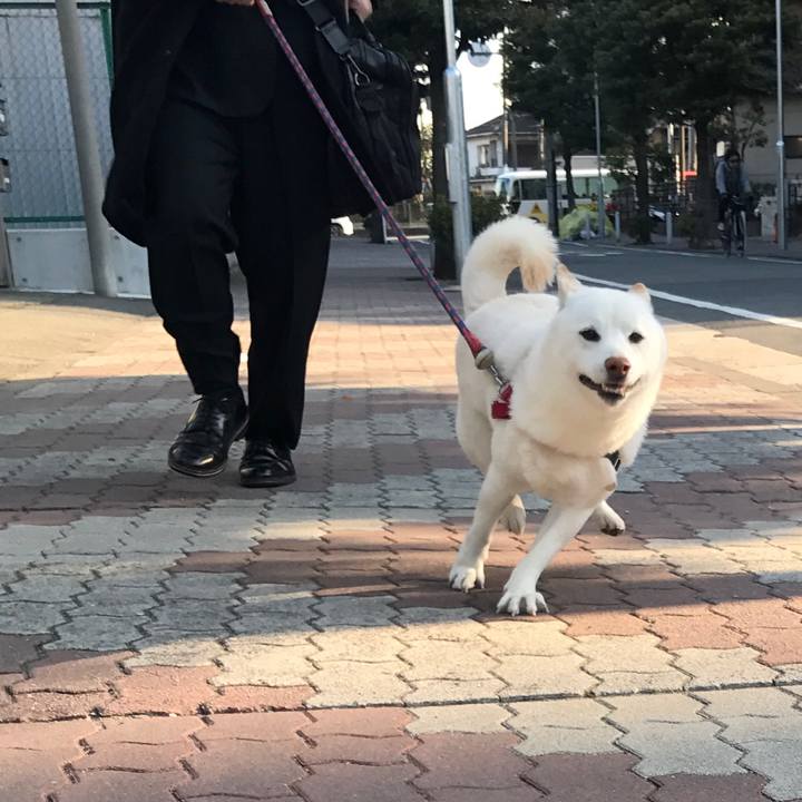 8c16b85e 7369 4186 b0f4 e5e6966242ec 1518132784087