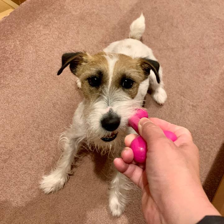 8c174531 30d2 4681 9f09 4c906b638810 1614949426947