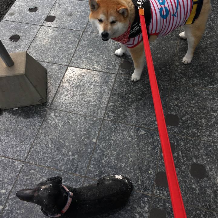 8c175ae5 6358 42eb b5b4 8ae3eba75577 1582951476297