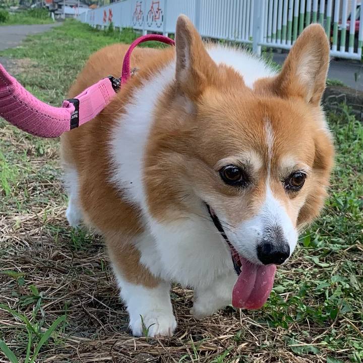 8c17c168 c781 4632 8dc7 5fdf946592f1 1725238157866