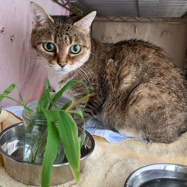 8c17fcab 28b3 4ea9 96da 682f921ccab6 1591309516310