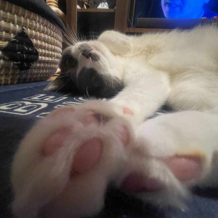 8c180432 f5d7 4570 a125 53089f3ce5e6 1725291119451