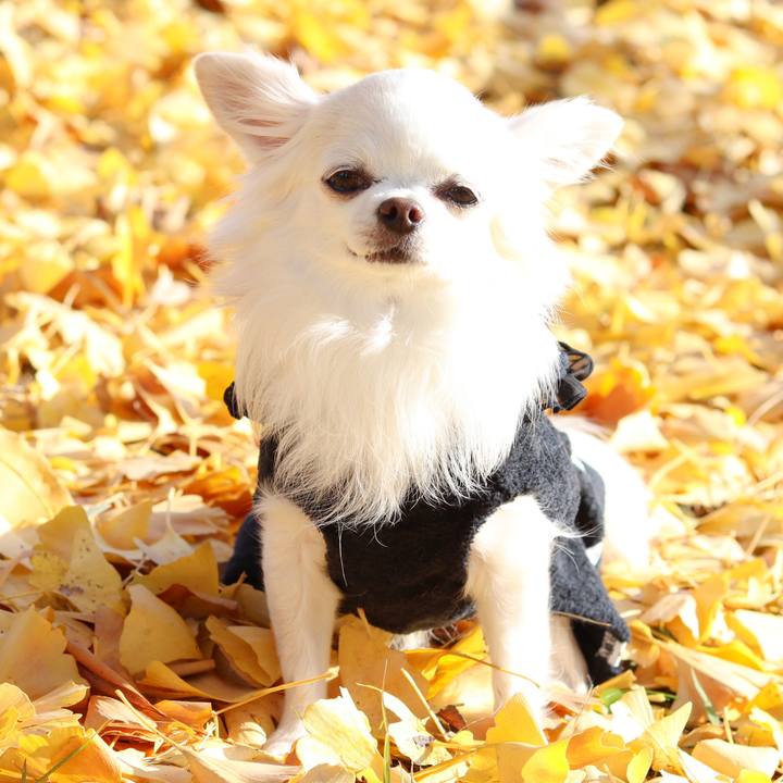 8c180b8b fcde 4587 a106 122cae527e79 1765014558144