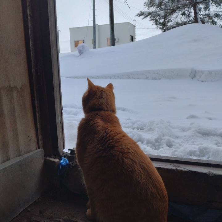 8c1824cd f6e0 4d2f a993 12a0c6a34d89 1675320147966