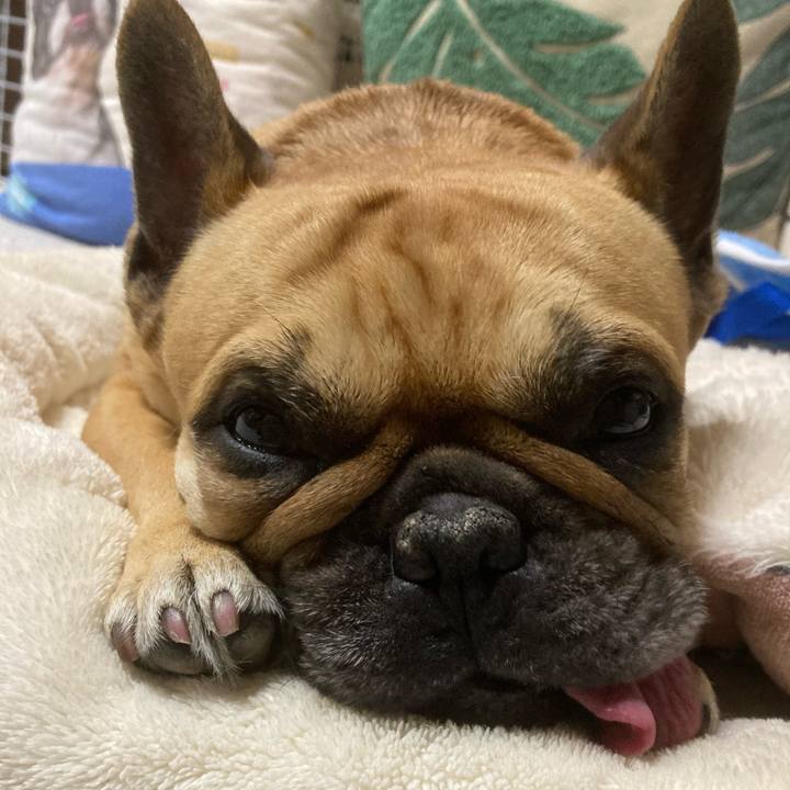 8c1826bf 2ea7 42c9 b39e 58ba7b6be4de 1667575103960