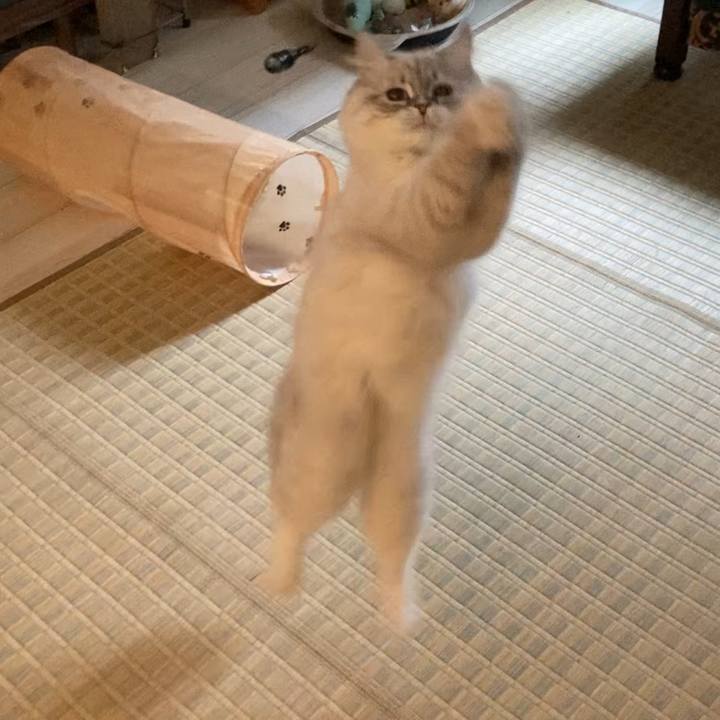 8c184b81 ec00 44e5 9b06 188ff52cacf5 1682781204105