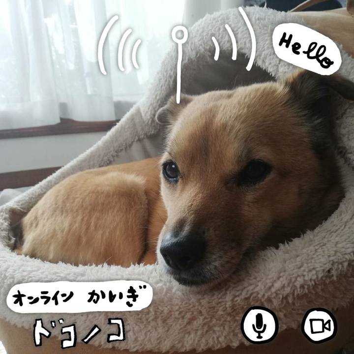 8c186333 09d8 4917 88fb ea02b9057a11 1590745222238