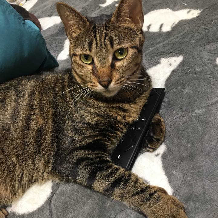 8c18a96a 6be8 4f7b bde4 8e51a1ddf79e 1549264061235