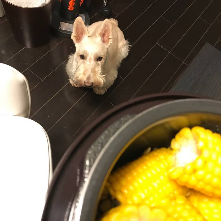 8c18bca9 563a 47e1 863d 986965f2dc85 1534132531996