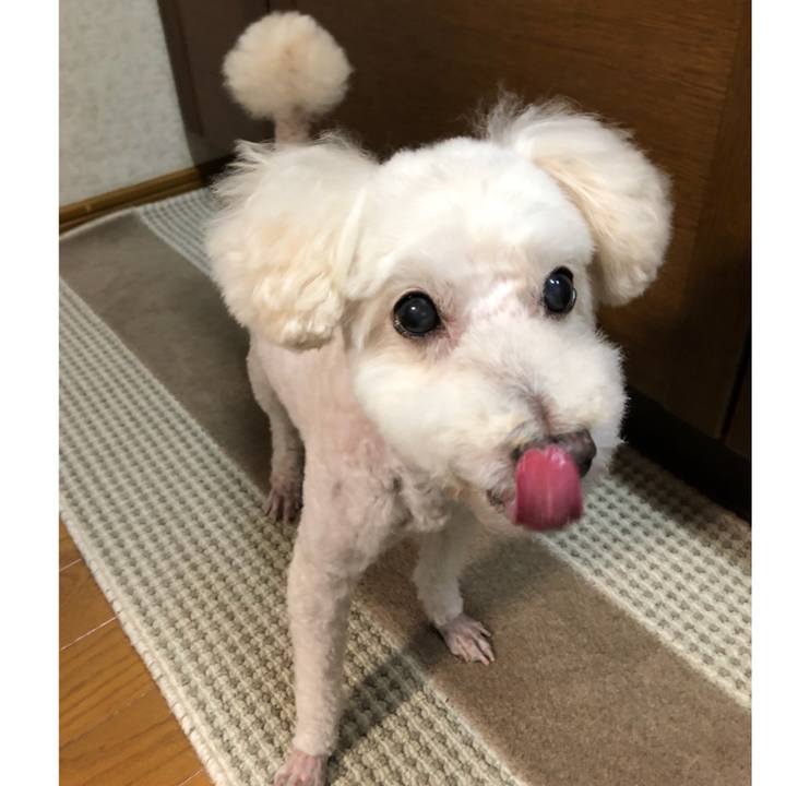 8c18c8fc f18b 4f43 8e43 e2c751e8b8c1 1534952518787