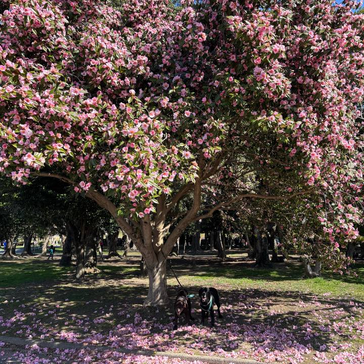 8c18caf7 606f 4260 b46b 7b5e9aaaeb47 1772538223117