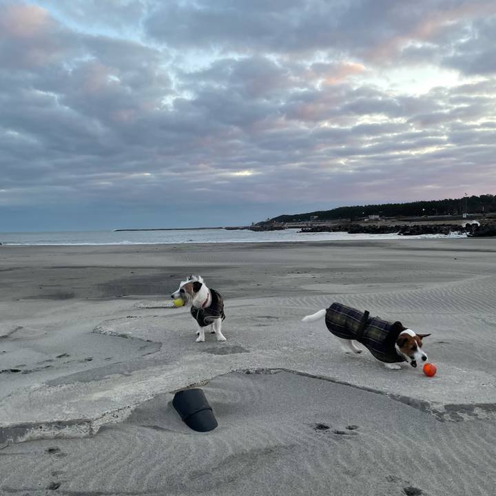 8c18e2ec d2cb 430a 9607 00bcd4bd91a6 1766447723826