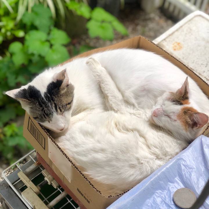 8c18ee00 d58e 4633 86bb 6628e19a97c4 1560080098301