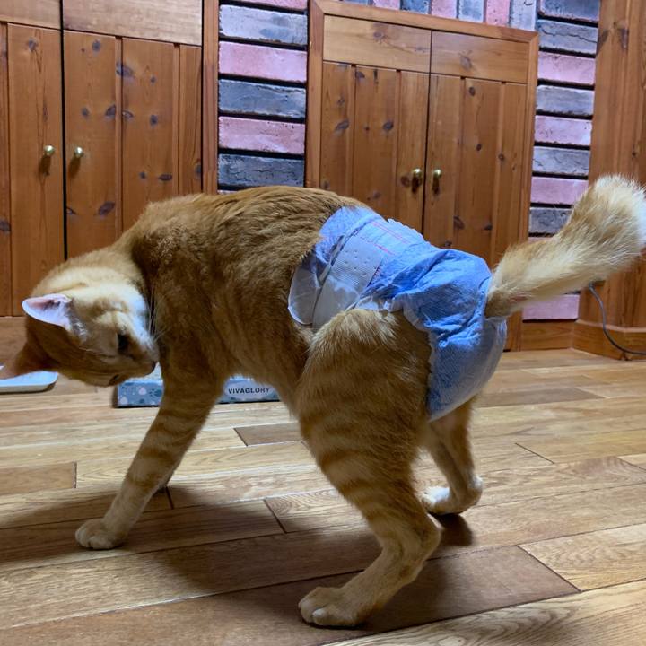 8c194cd1 e25d 4f33 b8de 54267ce560a4 1632219707630