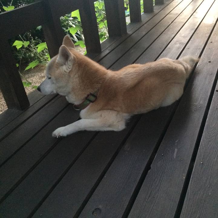 8c1954aa 5006 4eb9 88f5 25c625c632a1 1562927700086