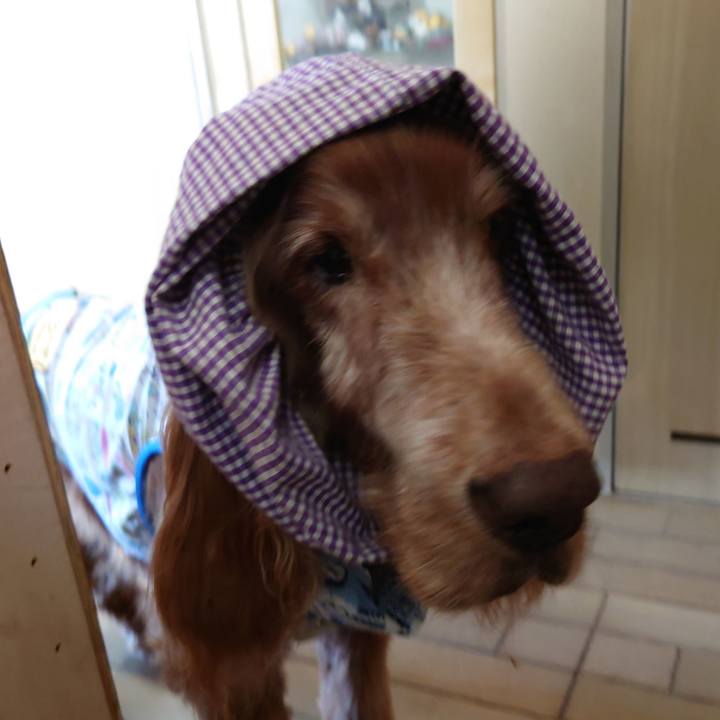 8c1959f1 8c8d 45f2 94ef 3555f610ce59 1723349905649