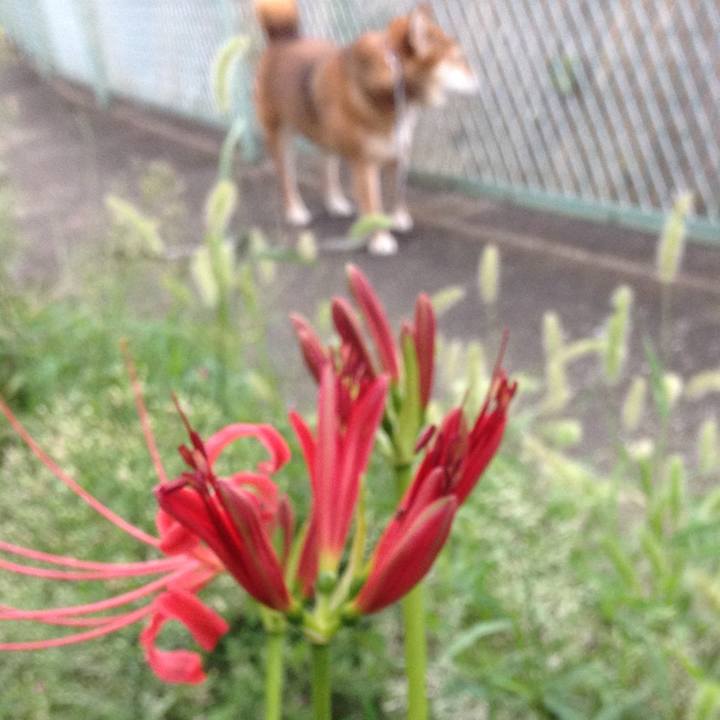 8c1966eb f60f 48cd ac84 8d8154d0a55b 1537170282799