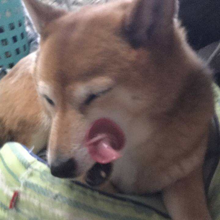 8c1969b9 62cc 4673 ade9 e2dafa6bf707 1613607889549