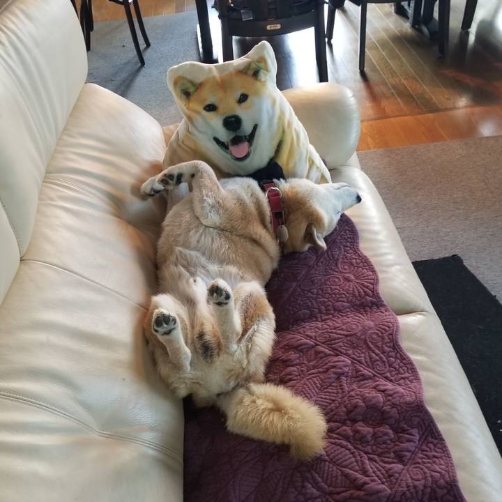 8c1975e3 1f26 4587 b778 78bf23b0e521 1735537179580