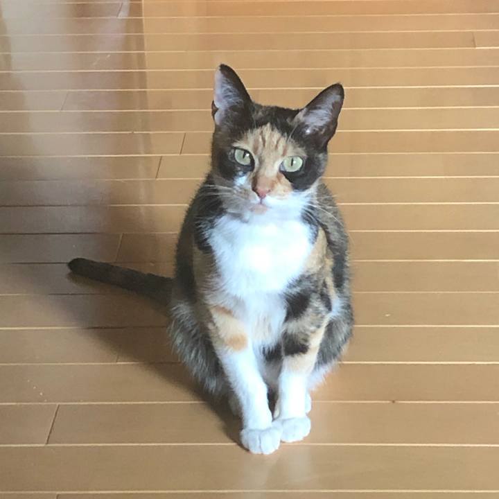 8c1985c3 0196 4b5e bebf c6999d3fdfe4 1588123645093