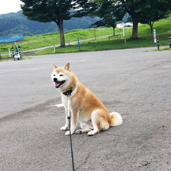 8c19a200 b2c9 4983 983d e3282daee306 1658552426187