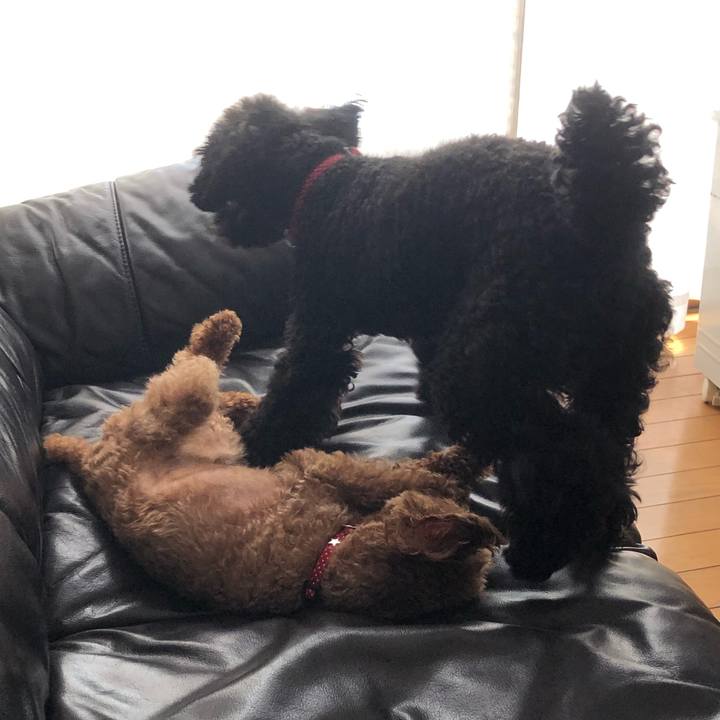 8c19a460 50ba 4e36 8ea9 59b18e3a93a9 1561026241464