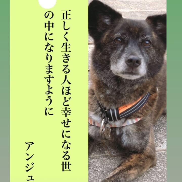 8c19b649 dede 40a6 98da f613facc65d9 1594110180123