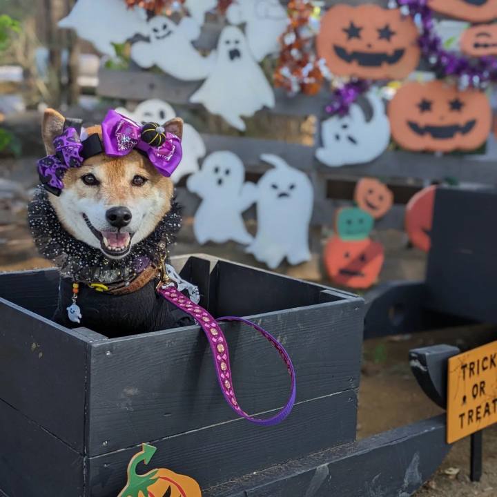 8c19bf90 389e 4988 8d91 14b6e686949a 1698711584283