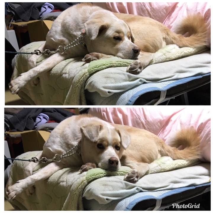 8c19d9cd cf17 4e83 95ff 33b159a441d0 1516877977862