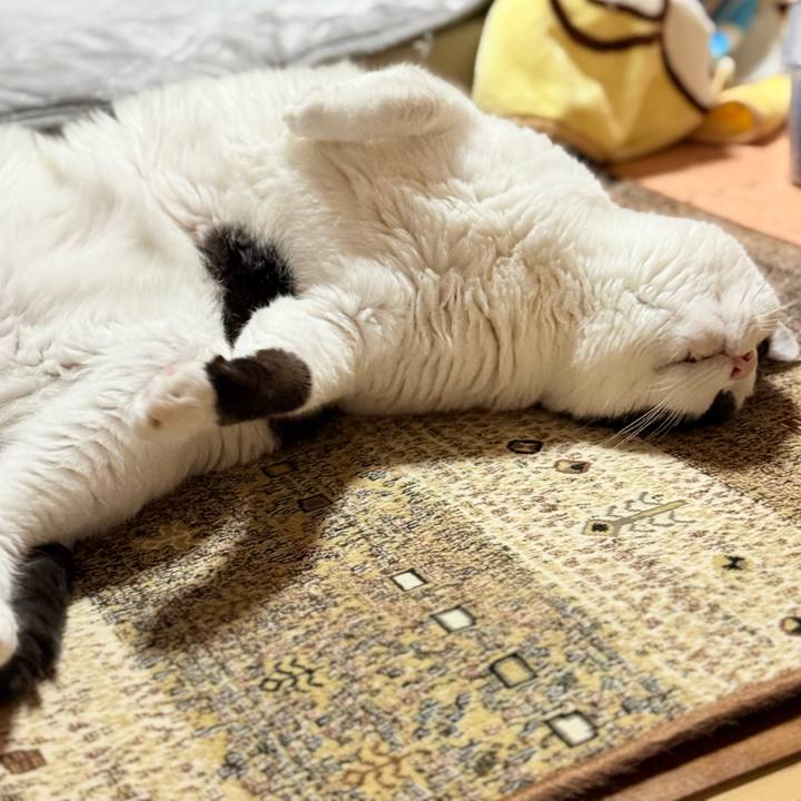 8c19df67 8872 42d9 935c 19acf9e15185 1775611891593