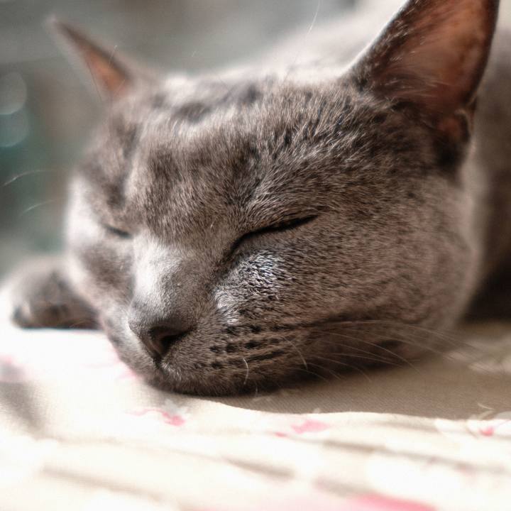 8c19e5b4 3c2b 4d0c 8546 bc86959dbbff 1580279858307