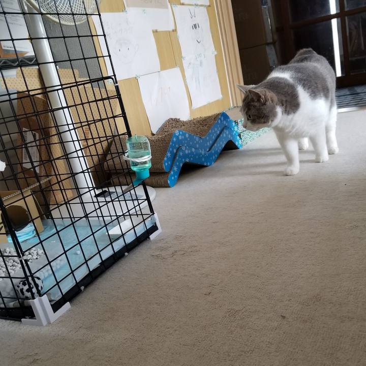 8c1a362a 4ce5 4433 b3ca cf352f8e6693 1659880367986