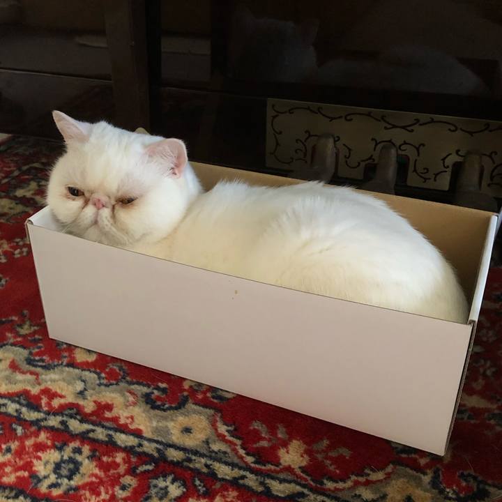 8c1a4784 9332 431e bf06 40a3a5ef3064 1651988177395