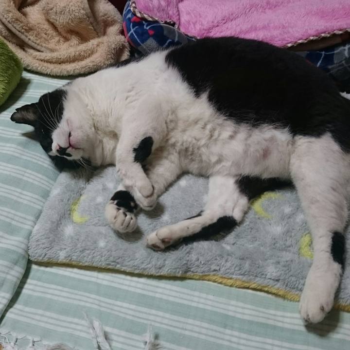 8c1a50e0 f06d 4113 805a 772621e3e01d 1510133147286