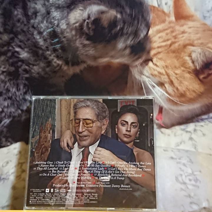 8c1a5d12 5a76 43a7 b667 f86f4bfa71d2 1621255208714