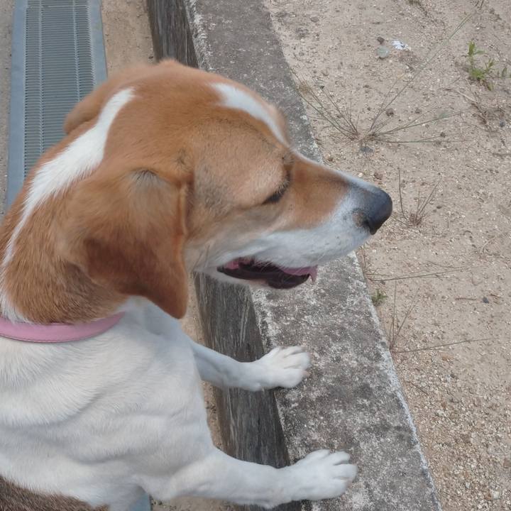 8c1a8472 a9e2 40fd b36b 70d55611412c 1589359837137