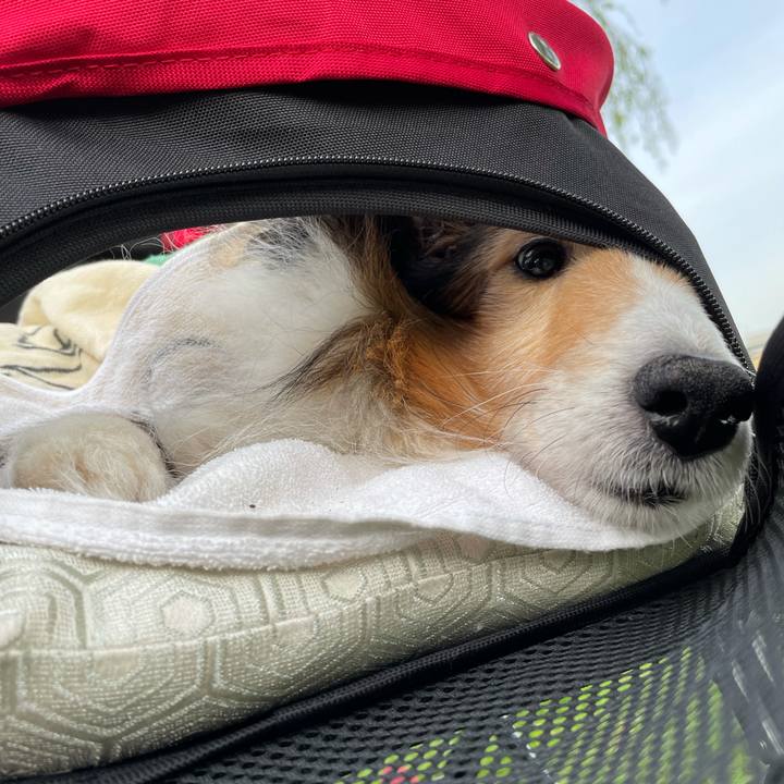 8c1b16dc 1f94 4f0f 9b73 e05b7a08205b 1621517584417