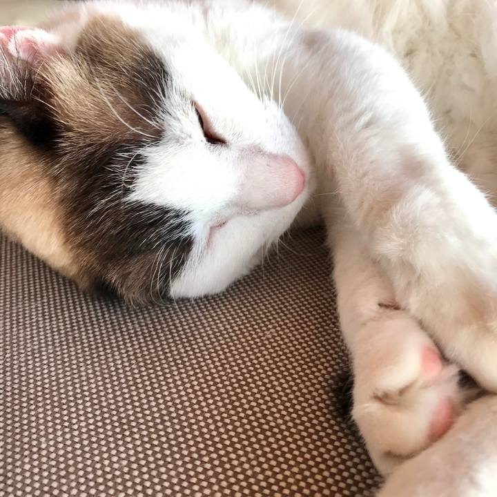 8c1b4033 72ec 4998 8fab 38a911eed93c 1583310467135