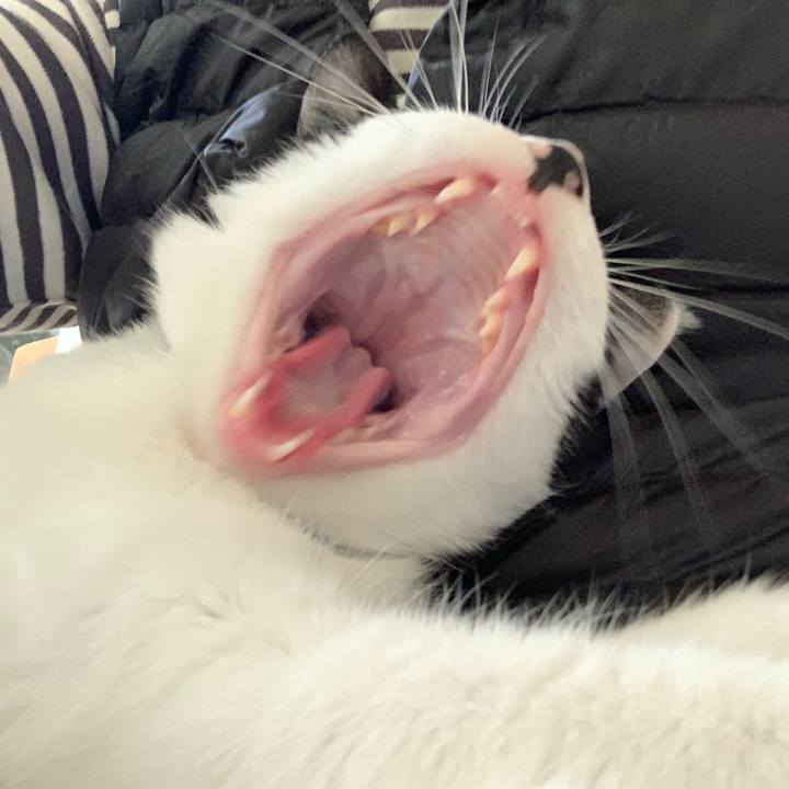 8c1b4bd8 558a 400a a6af f68217fae16c 1667876656421