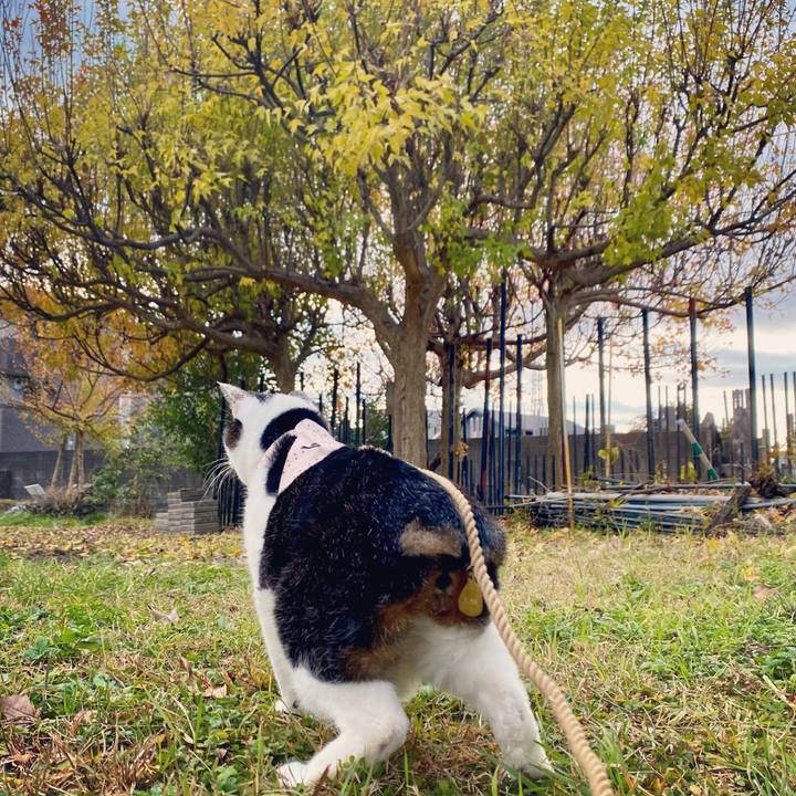 8c1b8791 b453 42eb 97ba 5d1550efd4e9 1607410435953