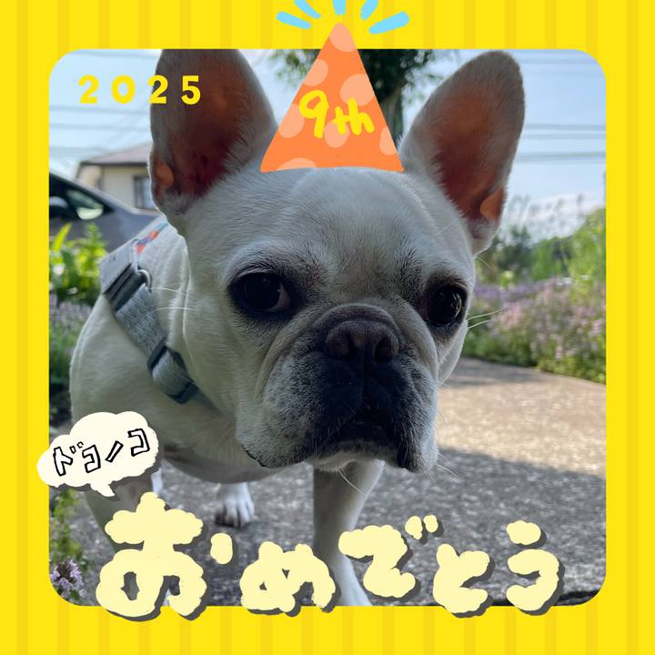 8c1b8811 4935 4798 b19b 0b48cfc255a2 1749171248142