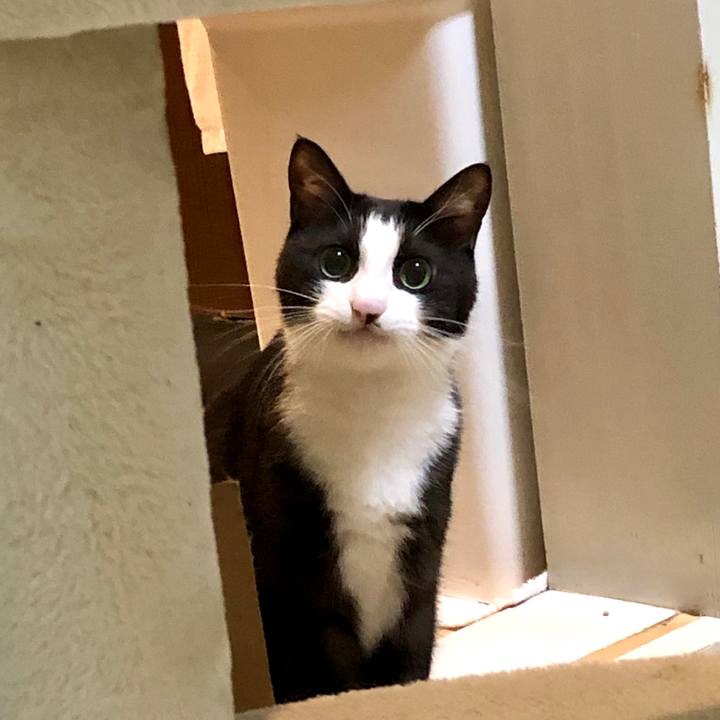 8c1bd07d 753e 456f 8db6 8e547dfa8312 1603883092907