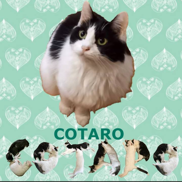 8c1c063a 1b70 4e59 a6ac 8872d57f7e26 1668513861573