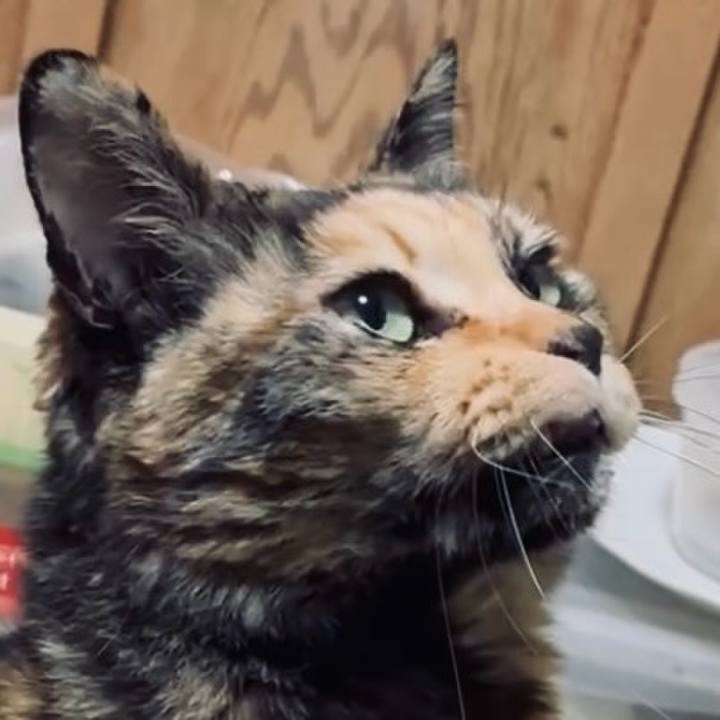 8c1c1703 7817 4139 9c00 95898dff11c9 1774471955010