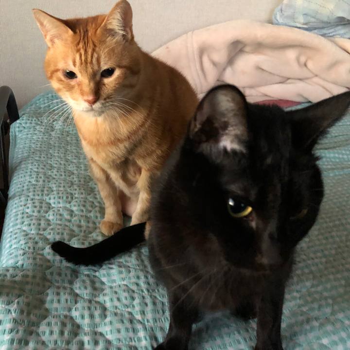 8c1c1a79 5245 4039 be65 6c6a4470cd08 1666648840801