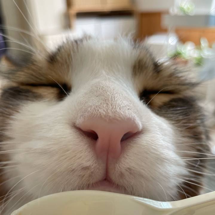 8c1c29a6 9640 4b33 8c2b 8e000ba1fbce 1662187806420