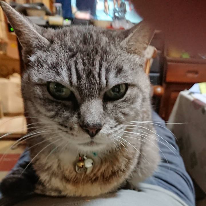 8c1c29f6 65a6 4e97 87ff b003e2c9b091 1569582933222