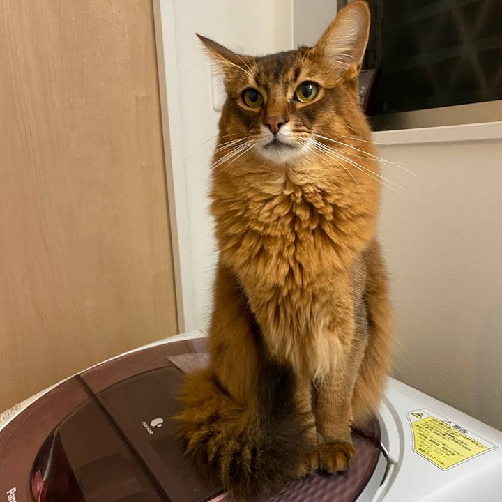 8c1c5e84 e554 41c0 8549 b79a1705ee2e 1639053808720