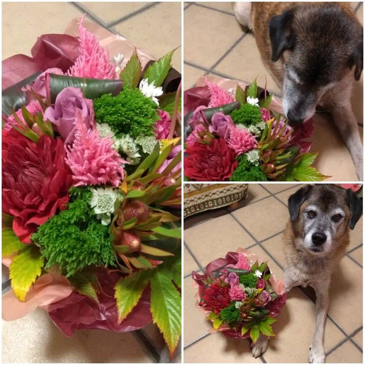 8c1c77b0 5d7f 4508 ae4f be41778868de 1572771465402